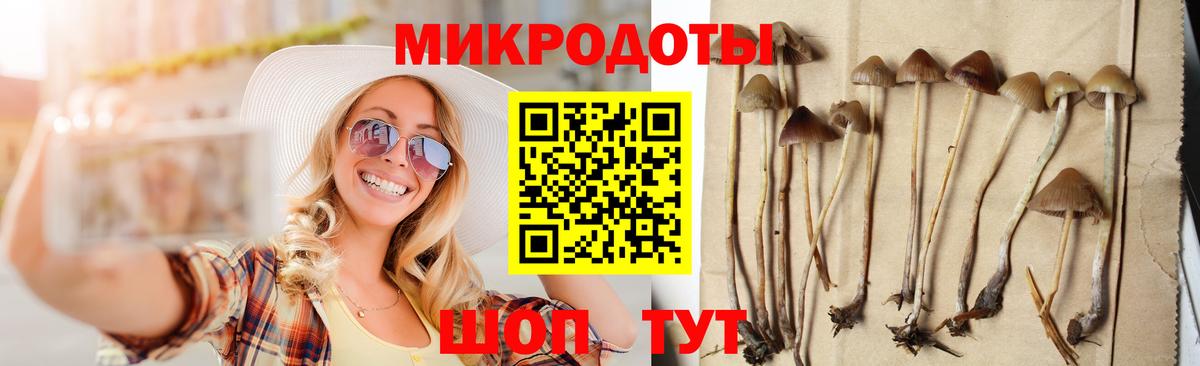 Галлюциногенные грибы GOLDEN TEACHER Великий Устюг